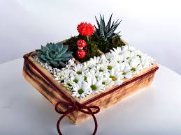 ahsap-kutuda-cicek